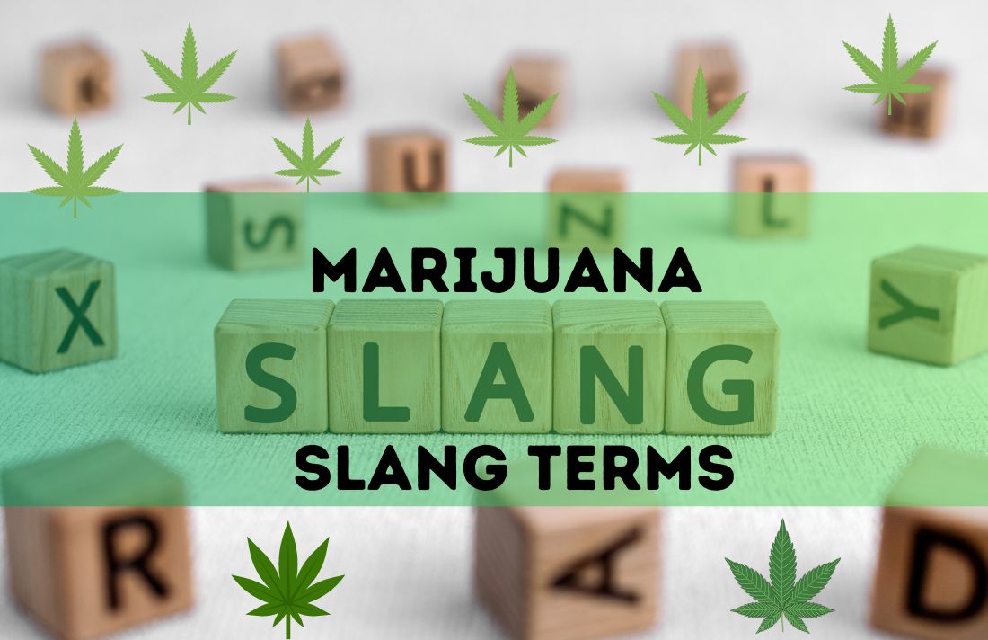 Marijuana Slang Terms.png